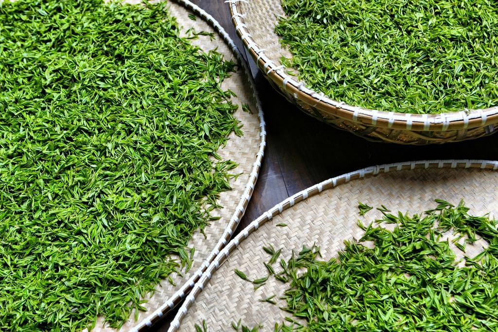 Landison Longjing Resort Hangzhou Dış mekan fotoğraf