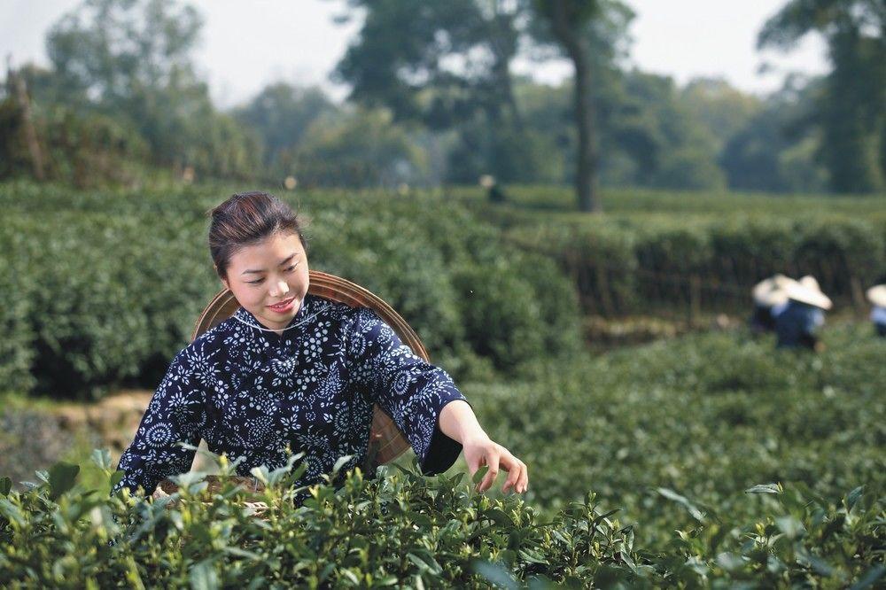 Landison Longjing Resort Hangzhou Dış mekan fotoğraf